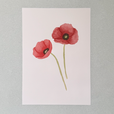 Amapola.png Amapolas