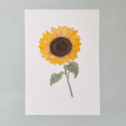 Girasol.png Girasol