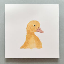 Pato