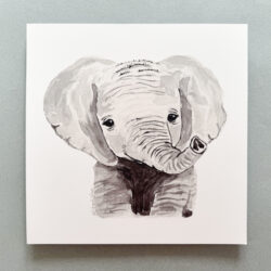 Elefante
