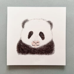 Oso panda