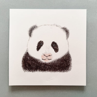 Oso panda