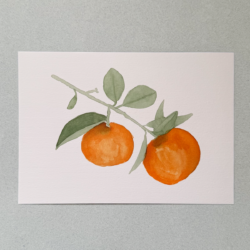 Naranja.png Naranjas